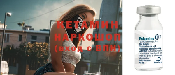прущие грибы Переславль-Залесский