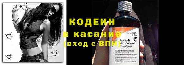 прущие грибы Переславль-Залесский