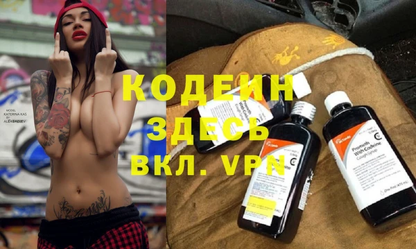 дурь Пестово