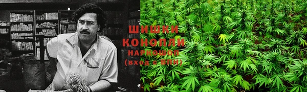 кокс Кущёвская