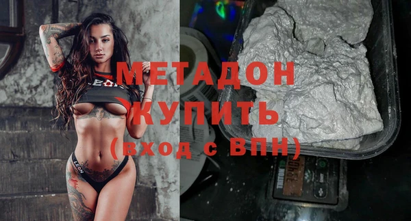 прущие грибы Переславль-Залесский