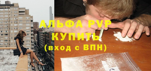 дурь Пестово