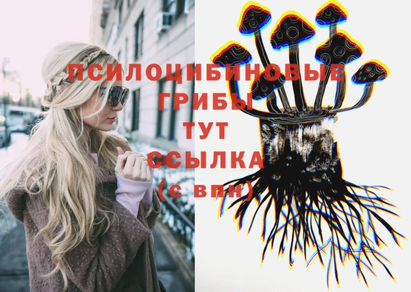 дурь Пестово