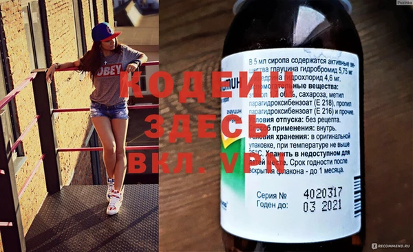 прущие грибы Переславль-Залесский