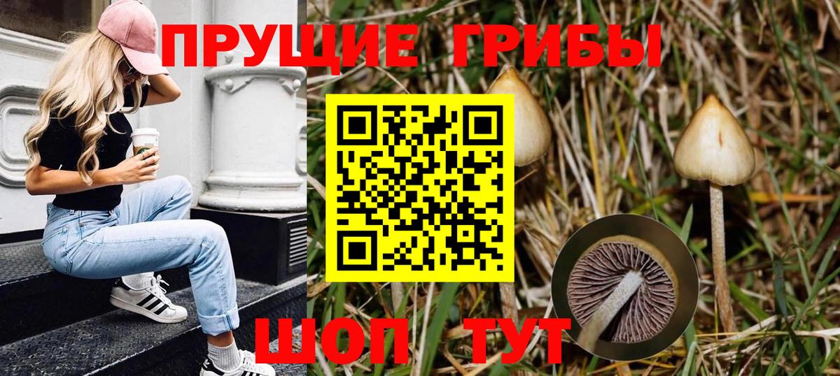 Вольск  Галлюциногенные грибы GOLDEN TEACHER  Вход с VPN 