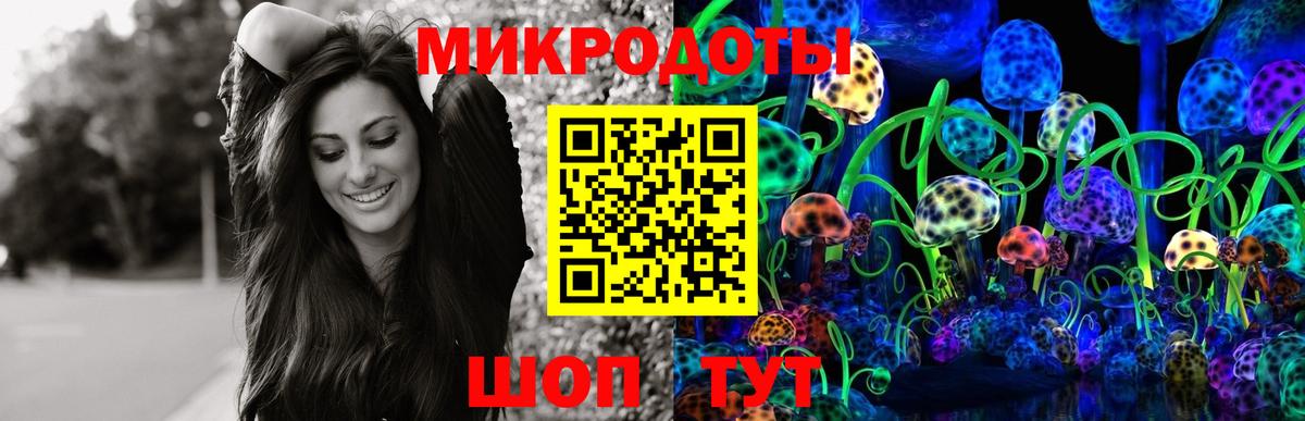 Псилоцибиновые грибы Cubensis Вольск
