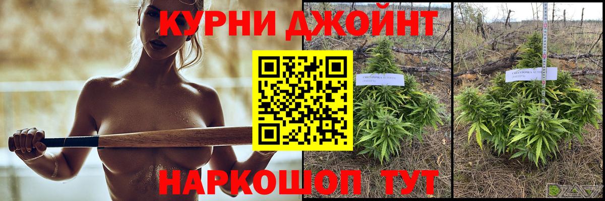 Бошки марихуана план  Бошки марихуана сатива  Каннабис ГИДРОПОН  Вольск 